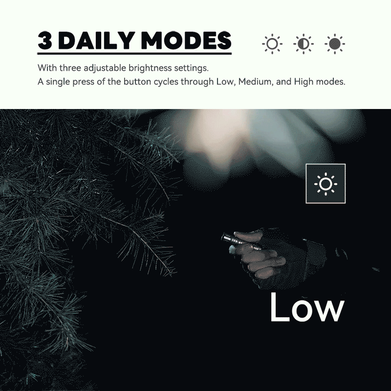 TwiLite - Titanium Magnetic Quick Release Flashlight