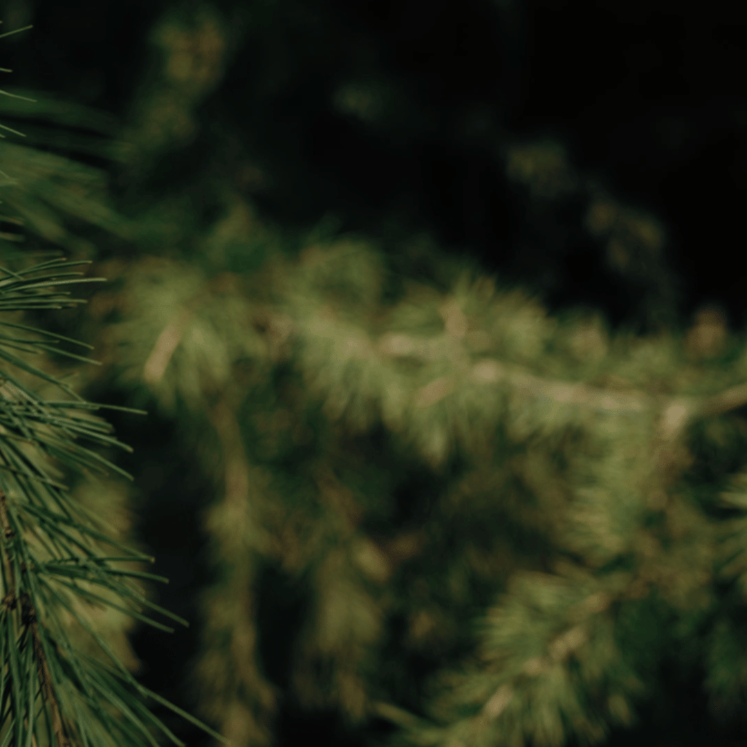 BladeNex: Titanium Micro Folding Scalpel Knife for EDC