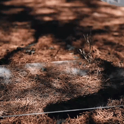 The CoreLite - 6-in-1 Modular Titanium Multitool Pen