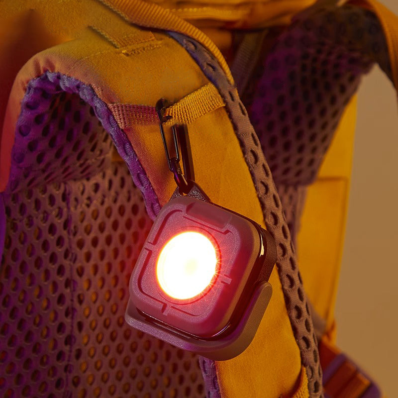 RuggedCompass Keylight: – 180° Rotating, 500 Lumens, Bi-Color Temperature