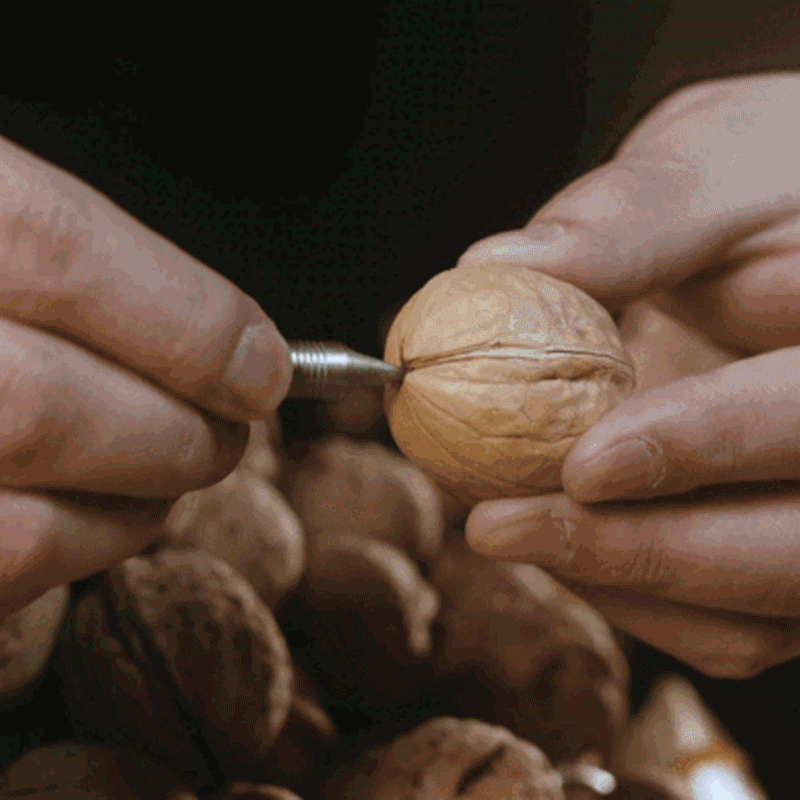 The Wolf Fang1.0: Titanium EDC Keychain Multitool