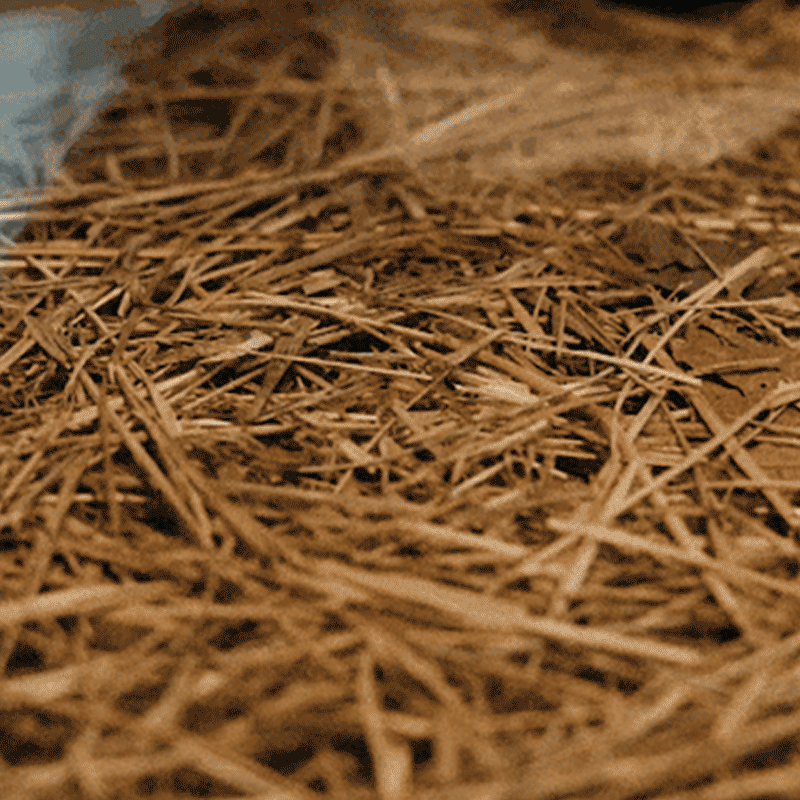 The Infinity - Titanium Firestarter & Multi-Tool